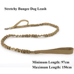 Bungee Dog Leash